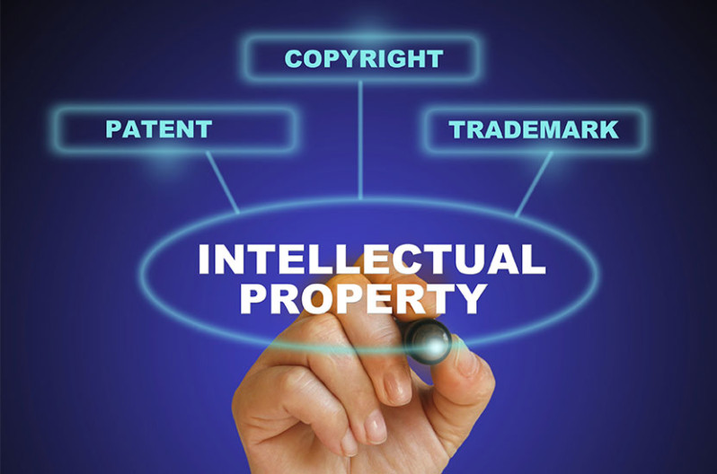 Basic Concepts of Intellectual Property Law Danner IP